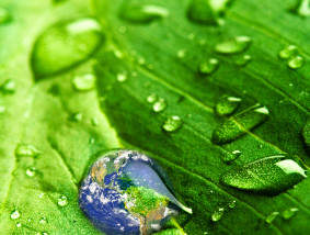 earth on rain drop
