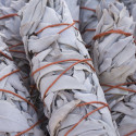 sage bundle