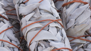 sage bundle