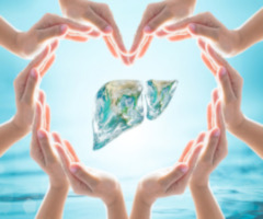 hands forming heart around liver-shaped earth to signify World Hepatitis Day