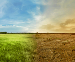Grassland turning in to barrens, illustrating climate change
