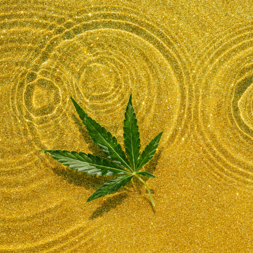Cannabis oil background with marijuana leaf on the surface