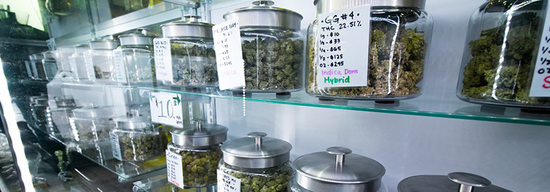 Medical Cannabis in a dispensary.