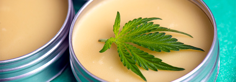 Effects of Cannabis Butter