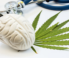 Effects of Cannabis Featured Image