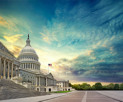 History of Cannabis Featured Image