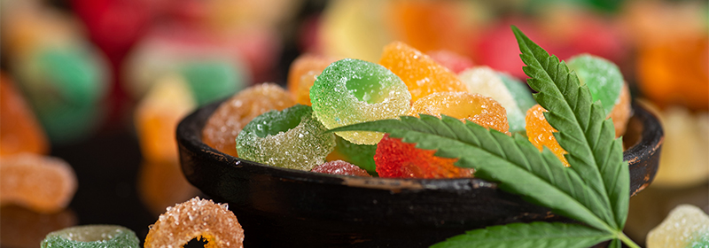 Healthcare Applications of Medical Cannabis in edible forms