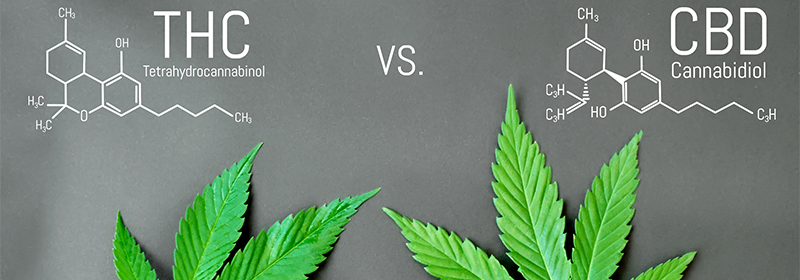 Healthcare Applications of THC and CBD Chemistry