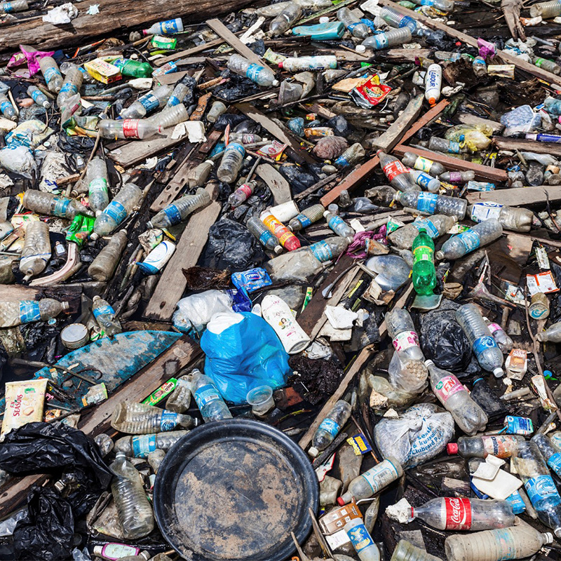 Microplastics and Health Featured Image